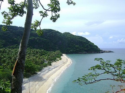 hong bay canh